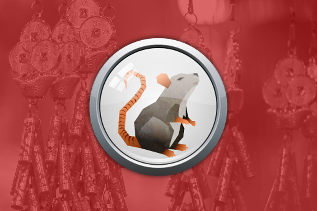 Year of the rat